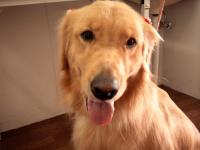 cam_0008.JPG