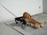 dsc00483.JPG