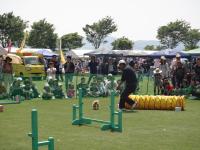 dsc00803.JPG
