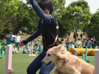 dsc00812.JPG