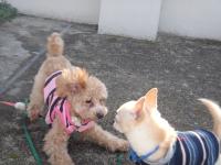 dsc07715.JPG