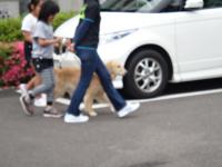 dsc08926.JPG