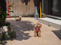 dsc09980.JPG