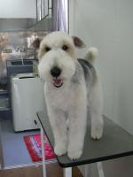 dscn1680.JPG