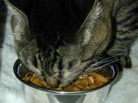 dscn4067.JPG