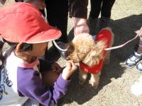 img_4932.JPG