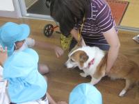 img_7357.JPG